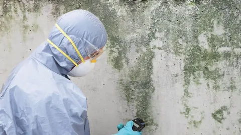 Mold remediation team sealing contaminated area during mold removal project in Edmond home
