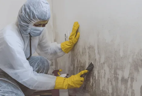 Mold removal technician documenting mold damage for insurance companies during restoration process