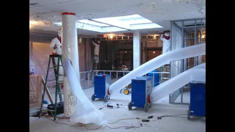 Mold remediation team using protective equipment to remove mold growth in Edmond home or business