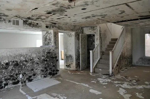 Edmond mold damage restoration specialists cleaning mold from bathroom ceiling in residential property