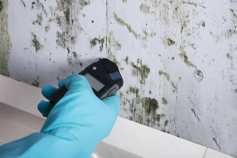 Mold removal service in Edmond treating wall contamination caused by moisture and water damage